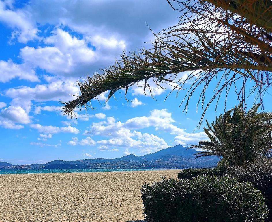 Joli Studio Cabine 4 Personnes A 300 M De La Plage Argeles-sur-Mer Bagian luar foto